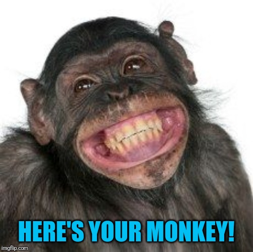 Grinning Chimp | HERE'S YOUR MONKEY! | image tagged in grinning chimp | made w/ Imgflip meme maker