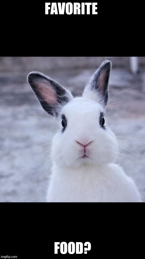 Rabbit | FAVORITE; FOOD? | image tagged in rabbit,food,bunny | made w/ Imgflip meme maker