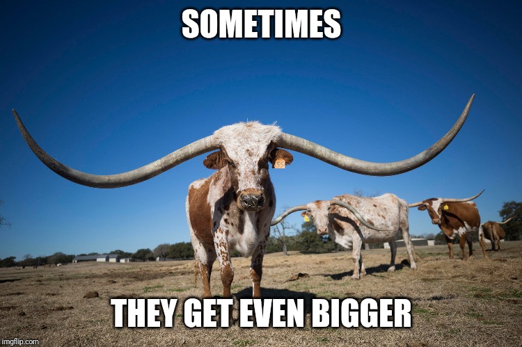 SOMETIMES THEY GET EVEN BIGGER | made w/ Imgflip meme maker