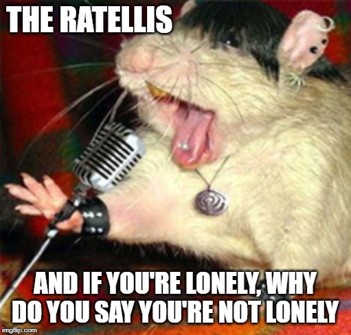 THE RATELLIS AND IF YOU'RE LONELY, WHY DO YOU SAY YOU'RE NOT LONELY | made w/ Imgflip meme maker