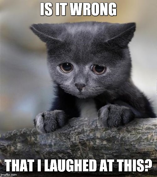 Confession Cat | IS IT WRONG THAT I LAUGHED AT THIS? | image tagged in confession cat | made w/ Imgflip meme maker