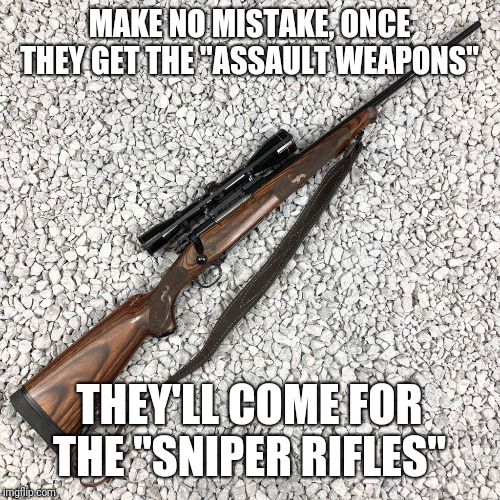 MAKE NO MISTAKE, ONCE THEY GET THE "ASSAULT WEAPONS"; THEY'LL COME FOR THE "SNIPER RIFLES" | image tagged in memes | made w/ Imgflip meme maker