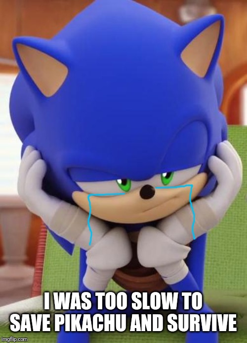 Disappointed Sonic | I WAS TOO SLOW TO SAVE PIKACHU AND SURVIVE | image tagged in disappointed sonic | made w/ Imgflip meme maker