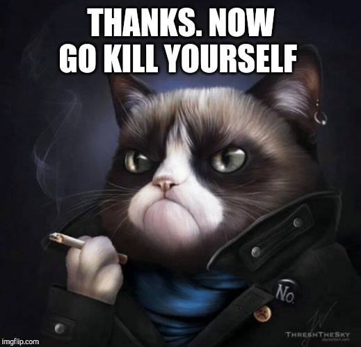 THANKS. NOW GO KILL YOURSELF | made w/ Imgflip meme maker