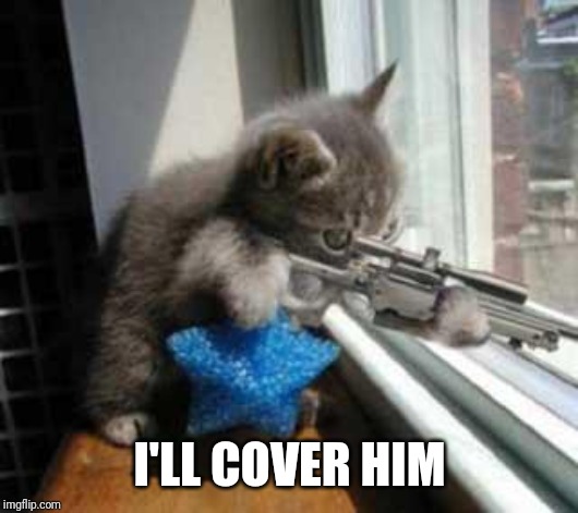 CatSniper | I'LL COVER HIM | image tagged in catsniper | made w/ Imgflip meme maker
