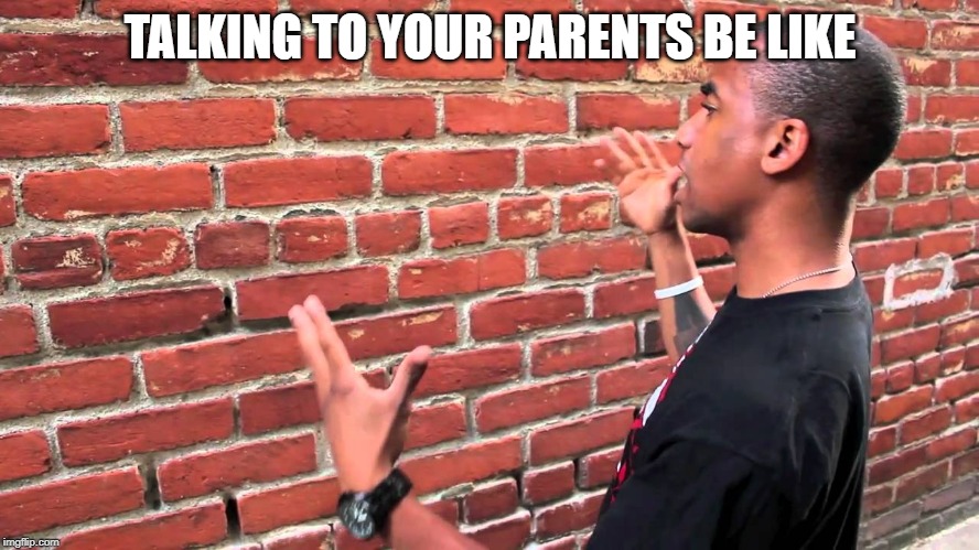 Talking to wall | TALKING TO YOUR PARENTS BE LIKE | image tagged in talking to wall | made w/ Imgflip meme maker
