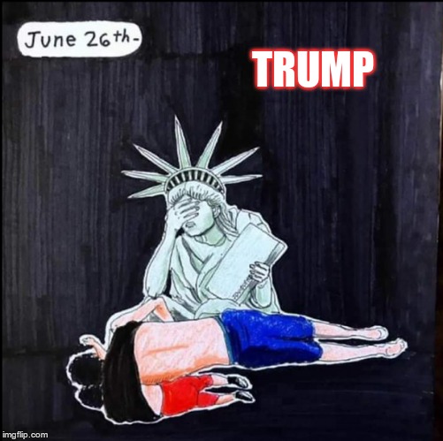 Trumps AmeriKKKA | TRUMP | image tagged in trump,sub-human,gop,hate,cowards | made w/ Imgflip meme maker