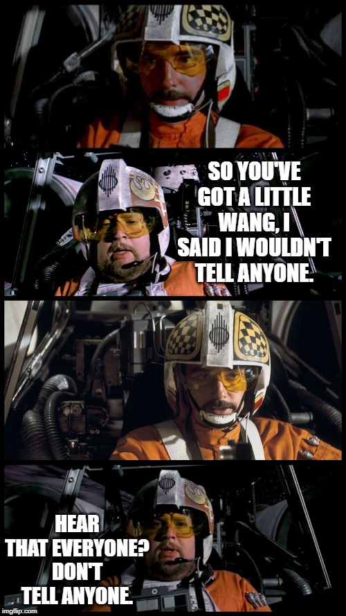 Little Wang | SO YOU'VE GOT A LITTLE WANG, I SAID I WOULDN'T TELL ANYONE. HEAR THAT EVERYONE? DON'T TELL ANYONE. | image tagged in star wars porkins | made w/ Imgflip meme maker