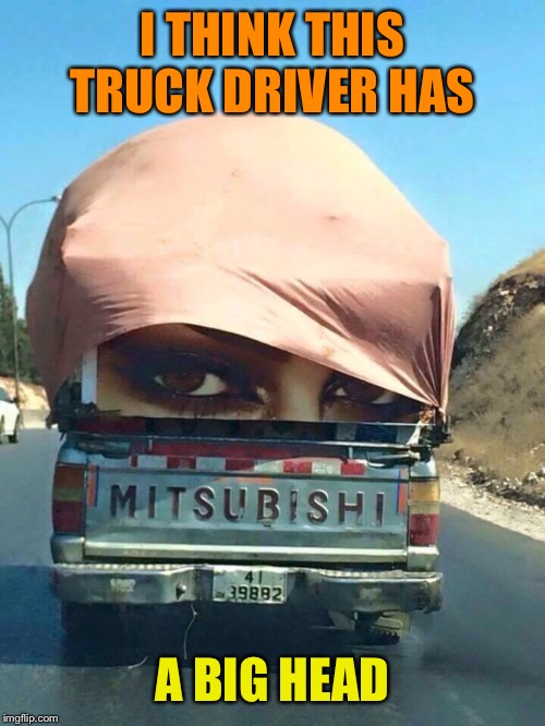 Look!  In the road ahead! | I THINK THIS TRUCK DRIVER HAS; A BIG HEAD | image tagged in bad puns,truck driver,big head,funny memes | made w/ Imgflip meme maker