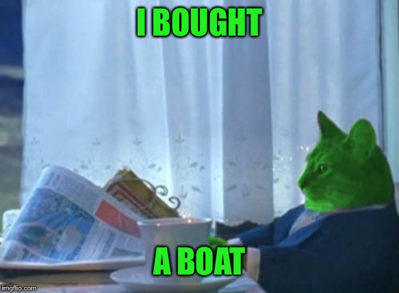 I Should Buy a Boat RayCat | I BOUGHT A BOAT | image tagged in i should buy a boat raycat | made w/ Imgflip meme maker