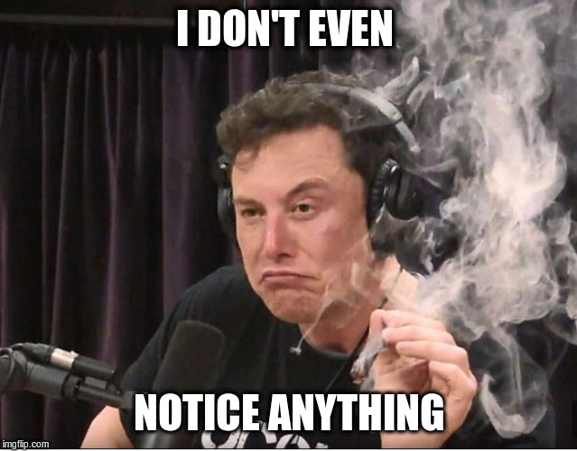 Elon Musk smoking a joint | I DON'T EVEN NOTICE ANYTHING | image tagged in elon musk smoking a joint | made w/ Imgflip meme maker