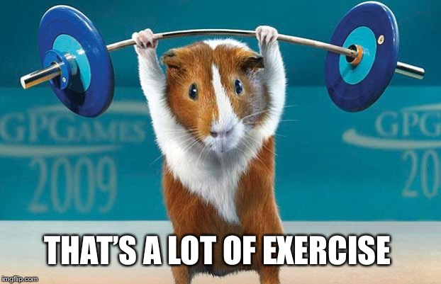 Funny exercise  | THAT’S A LOT OF EXERCISE | image tagged in funny exercise | made w/ Imgflip meme maker