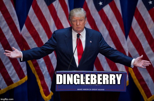 Donald Trump | DINGLEBERRY | image tagged in donald trump | made w/ Imgflip meme maker