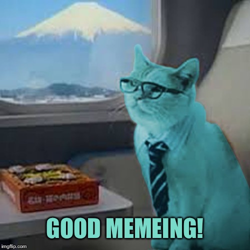 RayCat on Fuji train | GOOD MEMEING! | image tagged in raycat on fuji train | made w/ Imgflip meme maker