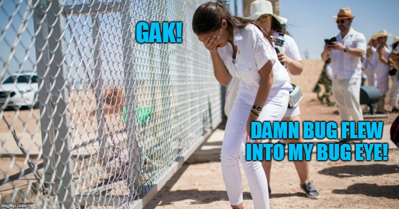 What really happened. | GAK! DAMN BUG FLEW INTO MY BUG EYE! | image tagged in aoc,funny,border,crying | made w/ Imgflip meme maker