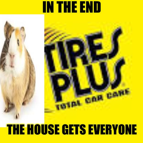 The Gerbil | IN THE END; THE HOUSE GETS EVERYONE | image tagged in the last one,tires,the end,gambling,trap,scam | made w/ Imgflip meme maker