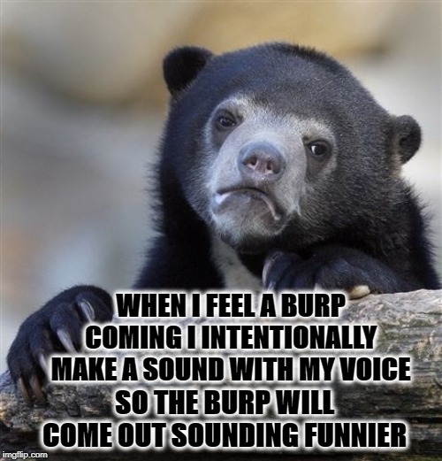 Confession Bear Meme | WHEN I FEEL A BURP COMING I INTENTIONALLY MAKE A SOUND WITH MY VOICE; SO THE BURP WILL COME OUT SOUNDING FUNNIER | image tagged in memes,confession bear | made w/ Imgflip meme maker