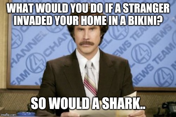 Ron Burgundy | WHAT WOULD YOU DO IF A STRANGER INVADED YOUR HOME IN A BIKINI? SO WOULD A SHARK.. | image tagged in memes,ron burgundy | made w/ Imgflip meme maker