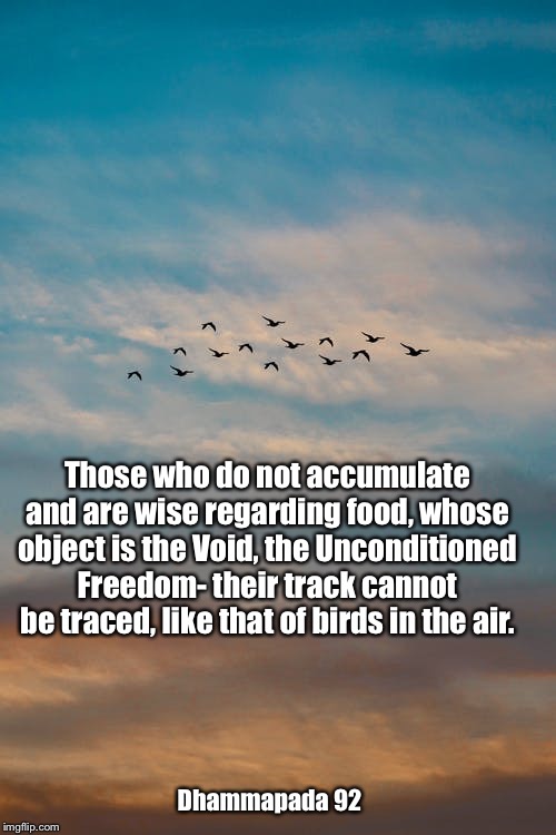 Those who do not accumulate and are wise regarding food, whose object is the Void, the Unconditioned Freedom- their track cannot be traced, like that of birds in the air. Dhammapada 92 | made w/ Imgflip meme maker