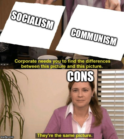 They're The Same Picture Meme | SOCIALISM COMMUNISM CONS | image tagged in office same picture | made w/ Imgflip meme maker