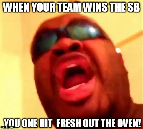 WHEN YOUR TEAM WINS THE SB YOU ONE HIT  FRESH OUT THE OVEN! | made w/ Imgflip meme maker