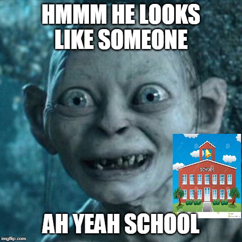 Gollum Meme | HMMM HE LOOKS LIKE SOMEONE; AH YEAH SCHOOL | image tagged in memes,gollum | made w/ Imgflip meme maker