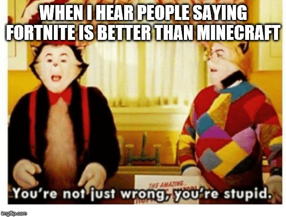 You're not just wrong your stupid | WHEN I HEAR PEOPLE SAYING FORTNITE IS BETTER THAN MINECRAFT | image tagged in you're not just wrong your stupid | made w/ Imgflip meme maker