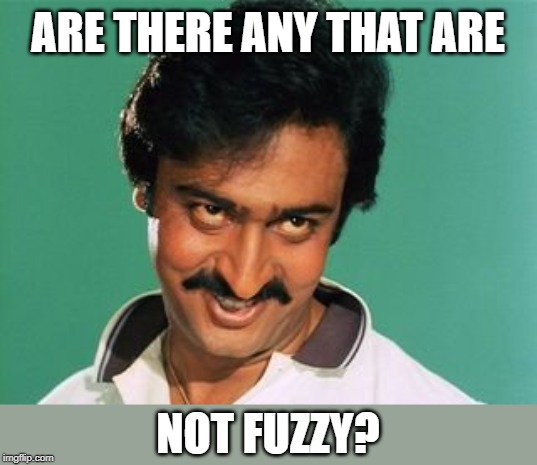 pervert look | ARE THERE ANY THAT ARE NOT FUZZY? | image tagged in pervert look | made w/ Imgflip meme maker