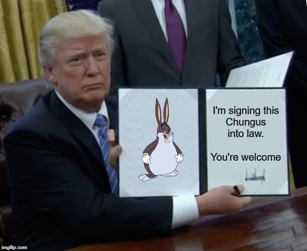What does it mean? What does it mean? | I'm signing this
Chungus
into law.
 
You're welcome | image tagged in memes,trump bill signing,big chungus | made w/ Imgflip meme maker