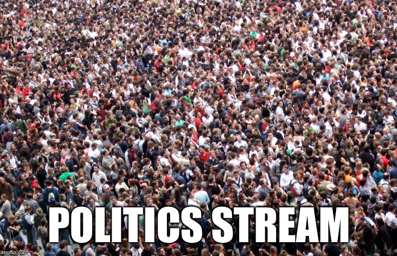 crowd of people | POLITICS STREAM | image tagged in crowd of people | made w/ Imgflip meme maker