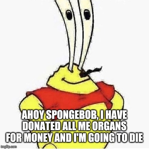 Ahoy spongebob me boy | AHOY SPONGEBOB, I HAVE DONATED ALL ME ORGANS FOR MONEY AND I'M GOING TO DIE | image tagged in ahoy spongebob me boy,ahoy spongebob,spongebob,mr krabs,memes | made w/ Imgflip meme maker