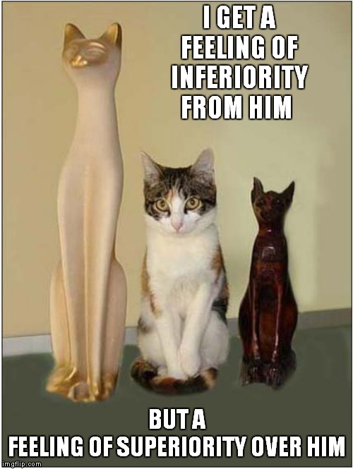 Three 'Cats' on Class | I GET A FEELING OF INFERIORITY FROM HIM; BUT A FEELING OF SUPERIORITY OVER HIM | image tagged in fun,the frost report,cats | made w/ Imgflip meme maker