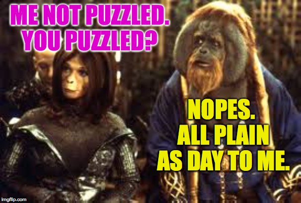 PUZZLED APES | ME NOT PUZZLED. YOU PUZZLED? NOPES.  ALL PLAIN AS DAY TO ME. | image tagged in puzzled apes | made w/ Imgflip meme maker