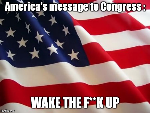 American flag | America's message to Congress : WAKE THE F**K UP | image tagged in american flag | made w/ Imgflip meme maker