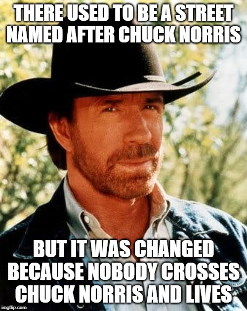 Chuck Norris Avenue | THERE USED TO BE A STREET NAMED AFTER CHUCK NORRIS; BUT IT WAS CHANGED BECAUSE NOBODY CROSSES CHUCK NORRIS AND LIVES | image tagged in memes,chuck norris | made w/ Imgflip meme maker