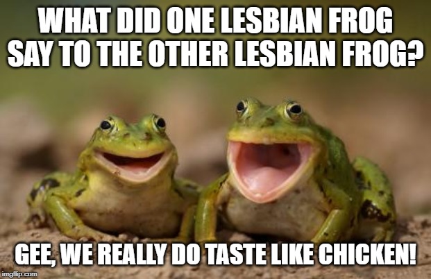 Ribbbbit Lick.... | WHAT DID ONE LESBIAN FROG SAY TO THE OTHER LESBIAN FROG? GEE, WE REALLY DO TASTE LIKE CHICKEN! | image tagged in two happy frogs | made w/ Imgflip meme maker