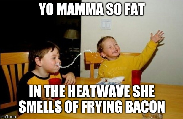 Yo momma so hot and fat | YO MAMMA SO FAT IN THE HEATWAVE SHE SMELLS OF FRYING BACON | image tagged in memes,yo mamas so fat | made w/ Imgflip meme maker