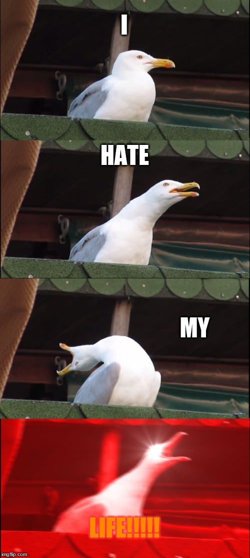 Inhaling Seagull Meme | I; HATE; MY; LIFE!!!!! | image tagged in memes,inhaling seagull | made w/ Imgflip meme maker