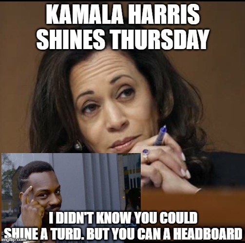 Kamala Harris  | KAMALA HARRIS SHINES THURSDAY; I DIDN'T KNOW YOU COULD SHINE A TURD. BUT YOU CAN A HEADBOARD | image tagged in kamala harris | made w/ Imgflip meme maker