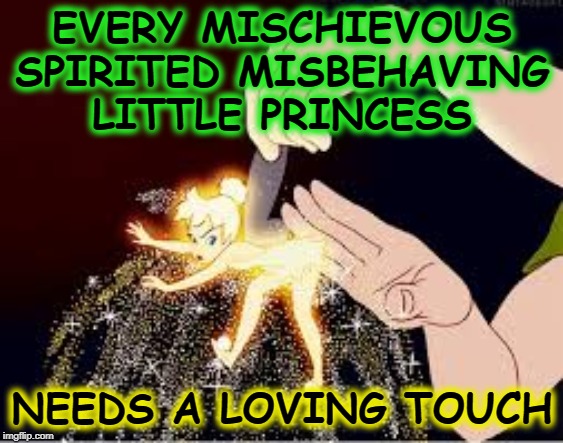 EVERY MISCHIEVOUS SPIRITED MISBEHAVING LITTLE PRINCESS; NEEDS A LOVING TOUCH | made w/ Imgflip meme maker