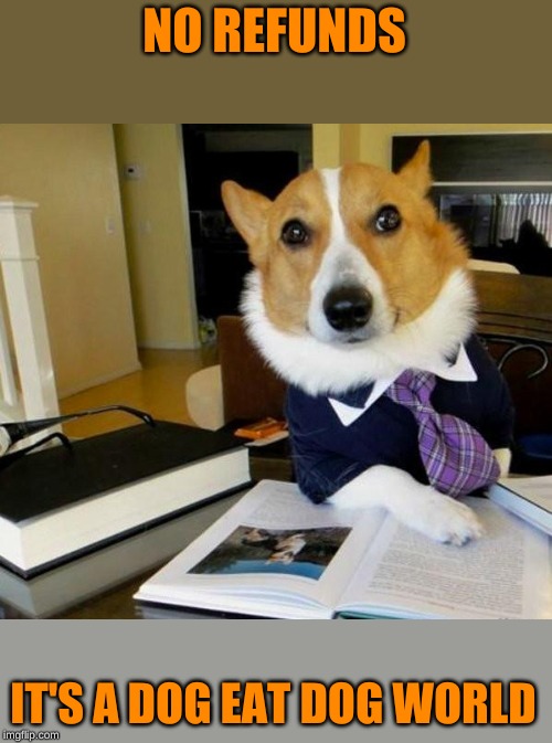 Lawyer Corgi Dog | NO REFUNDS IT'S A DOG EAT DOG WORLD | image tagged in lawyer corgi dog | made w/ Imgflip meme maker