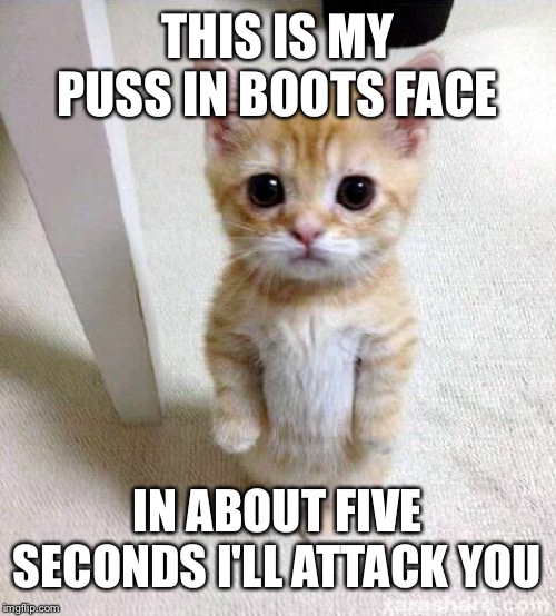 Nice Kitty.... | THIS IS MY PUSS IN BOOTS FACE; IN ABOUT FIVE SECONDS I'LL ATTACK YOU | image tagged in memes,cute cat,puss in boots | made w/ Imgflip meme maker