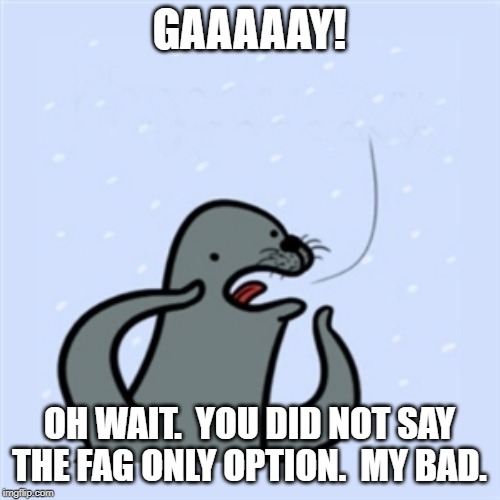 gay seal | GAAAAAY! OH WAIT.  YOU DID NOT SAY THE F*G ONLY OPTION.  MY BAD. | image tagged in gay seal | made w/ Imgflip meme maker
