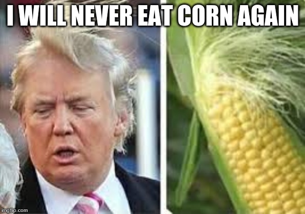 donald trump hair | I WILL NEVER EAT CORN AGAIN | image tagged in donald trump hair | made w/ Imgflip meme maker