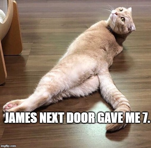 Sexy Cat | JAMES NEXT DOOR GAVE ME 7. | image tagged in sexy cat | made w/ Imgflip meme maker