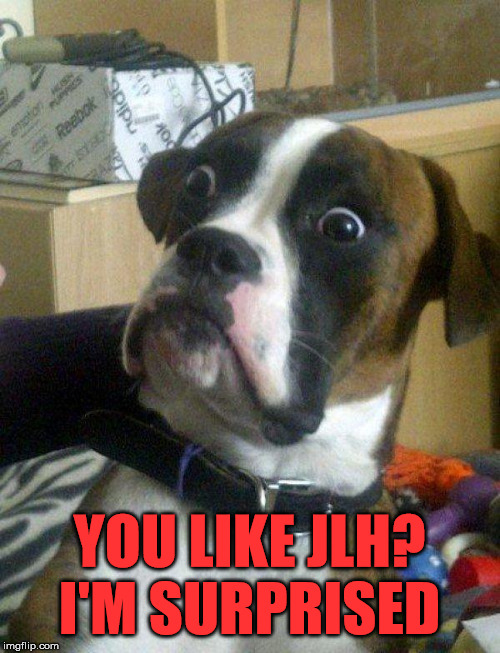 Blankie the Shocked Dog | YOU LIKE JLH? I'M SURPRISED | image tagged in blankie the shocked dog | made w/ Imgflip meme maker