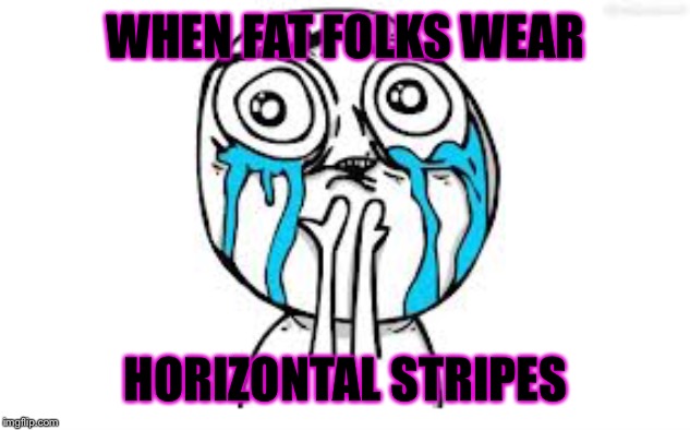 Crying Because Of Cute |  WHEN FAT FOLKS WEAR; HORIZONTAL STRIPES | image tagged in memes,crying because of cute | made w/ Imgflip meme maker