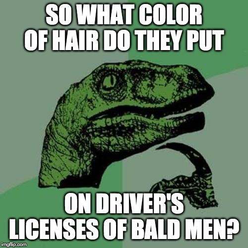 Philosoraptor Meme | SO WHAT COLOR OF HAIR DO THEY PUT; ON DRIVER'S LICENSES OF BALD MEN? | image tagged in memes,philosoraptor | made w/ Imgflip meme maker