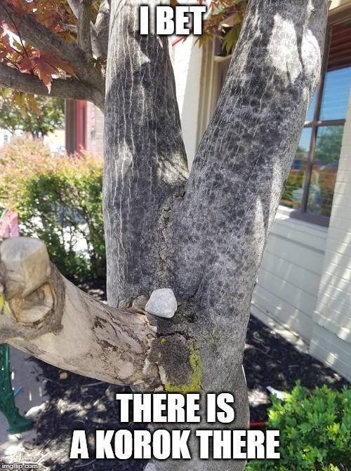 KOROK | I BET; THERE IS A KOROK THERE | image tagged in korok,zelda | made w/ Imgflip meme maker