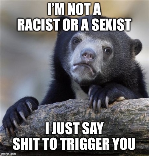 Confession Bear | I’M NOT A RACIST OR A SEXIST; I JUST SAY SHIT TO TRIGGER YOU | image tagged in memes,confession bear | made w/ Imgflip meme maker